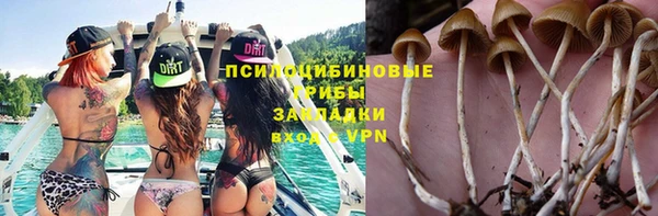 винт Белоозёрский