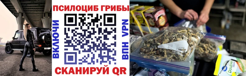 купить закладку Богданович Псилоцибиновые грибы Psilocybine cubensis